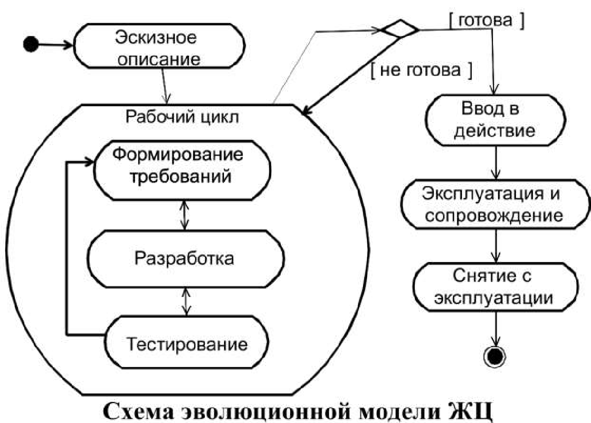 Баг жизненный цикл бага. Жизненный цикл бага схема. Цикл формирования требований. Жизненный цикл бага в тестировании. ЖЦ тестирование этапы.