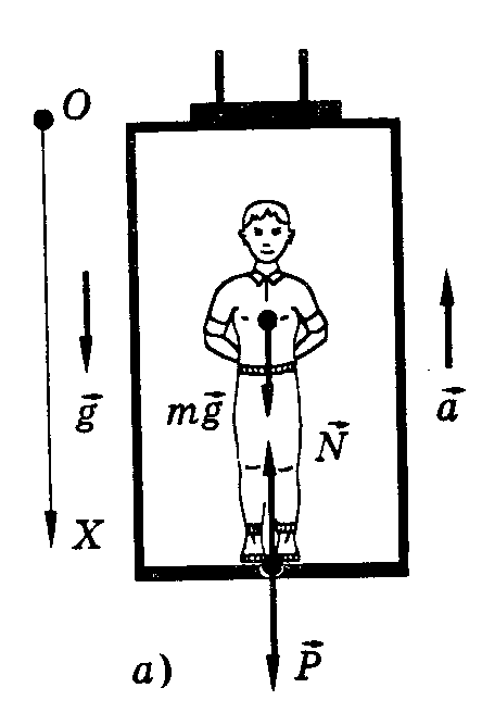 Вес тела в лифте. Вес тела лифт рисунок. Вес тела движение с ускорением. Вес тела с ускорением вверх. Вес тела рисунок.