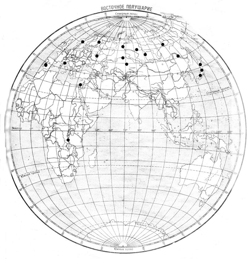 Контурная карта полушарий для печати а4. Западное и Восточное полушарие контурная карта.