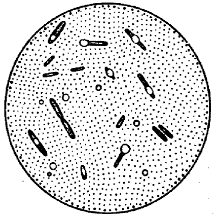 Окраска спор бактерий. Окраска бактериальных спор клостридий. Метод окраски спор микробиология. Споры методы окраски спор микробиология. Ожешко микробиология.