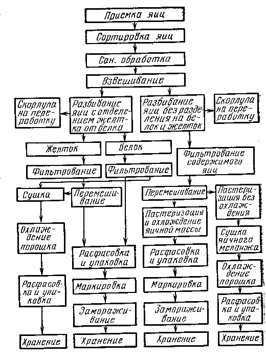 Схема обработки яиц. Технологическая схема производства куриных яиц. Технологическая схема производства инкубационного яйца. Схема технологического процесса производства яиц. Технологическая схема обработки курицы.