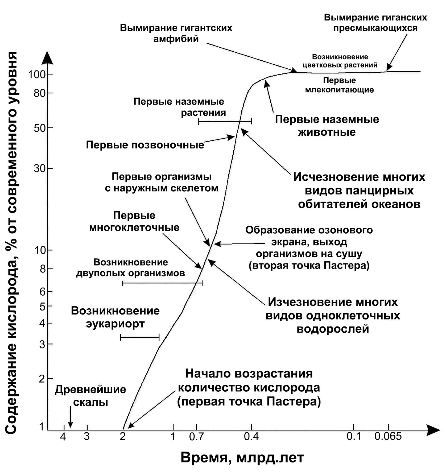 Можно ли считать завершенным процесс формирования биосферы