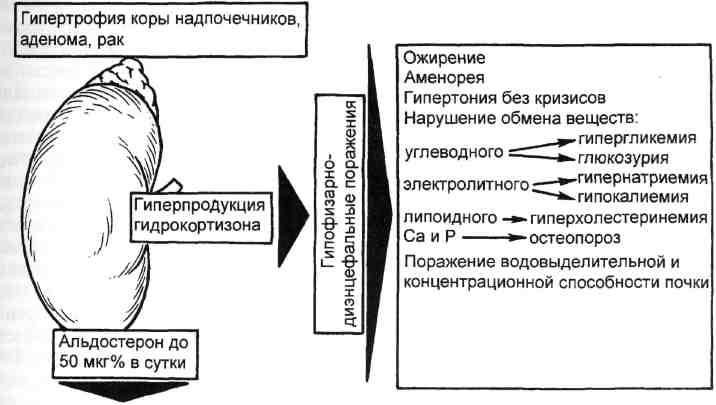 Аденома надпочечника у мужчин что это. Механизм развития симптомов синдрома Иценко Кушинга. Патогенез болезни Иценко-Кушинга схема. Патогенез синдрома Иценко-Кушинга схема. Синдром Кушинга этиология.