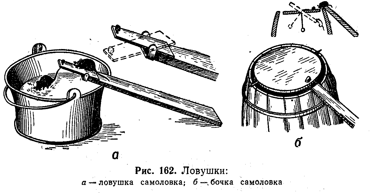 Чертеж ловушек