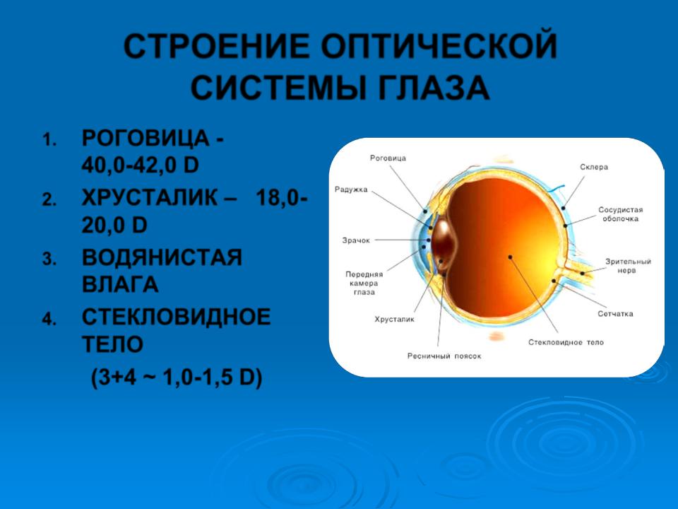 Оптическая структура