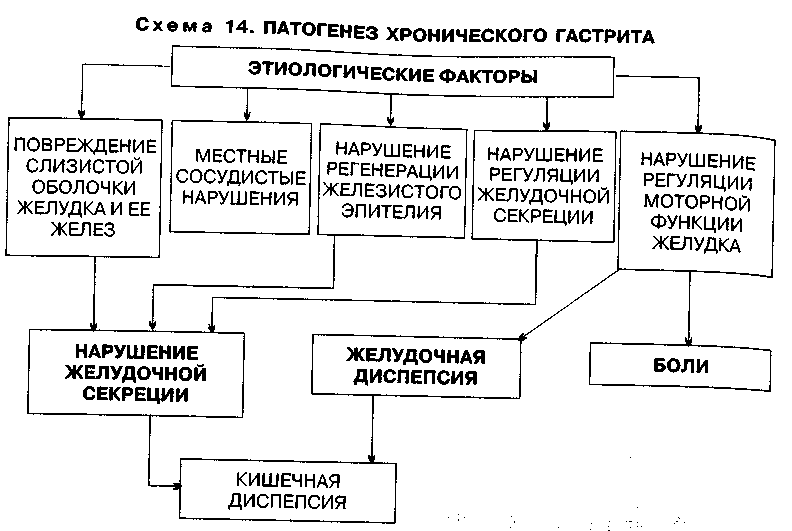 Диспепсия желудка - что это такое, лечение, симптомы, рекомендации, причины, виды, профилактика