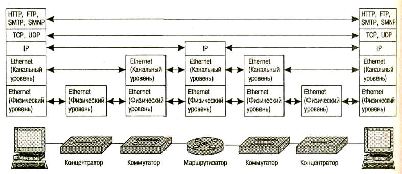 Коммутатор на каком уровне. Распределение протоколов по элементам сети. Разъем RJ-45 уровень модели osi. Физический уровень компьютерных сетей. Распределение современных сетей по стекам протоколов.