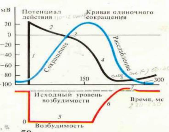 Наличие фазы