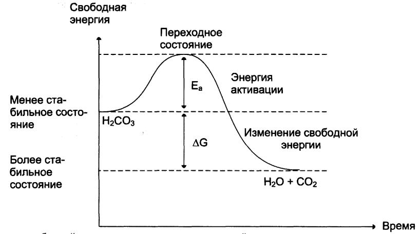 Свободная энергия презентация