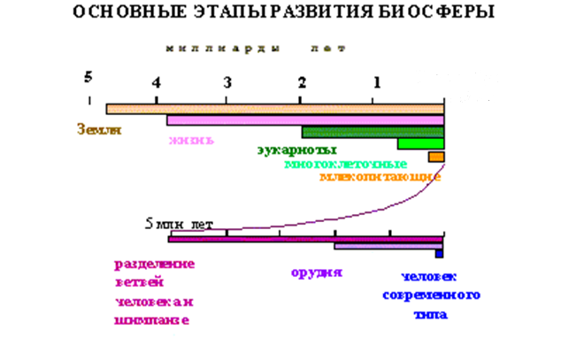 Можно ли считать завершенным процесс формирования биосферы