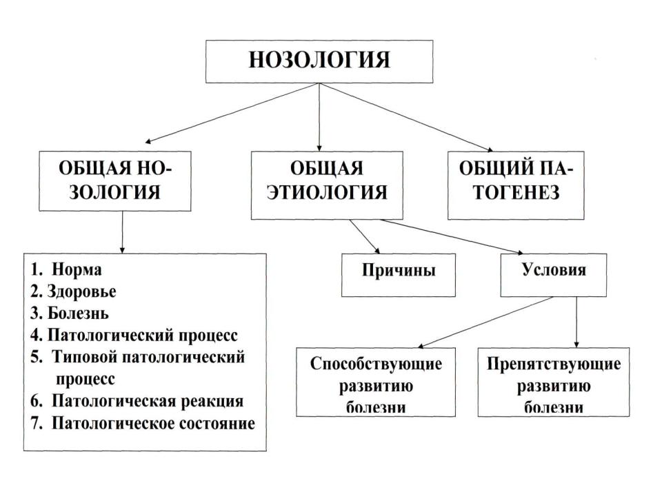 Презентация на тему: Нозология (от греч. nosоs - болезнь) – теория ...