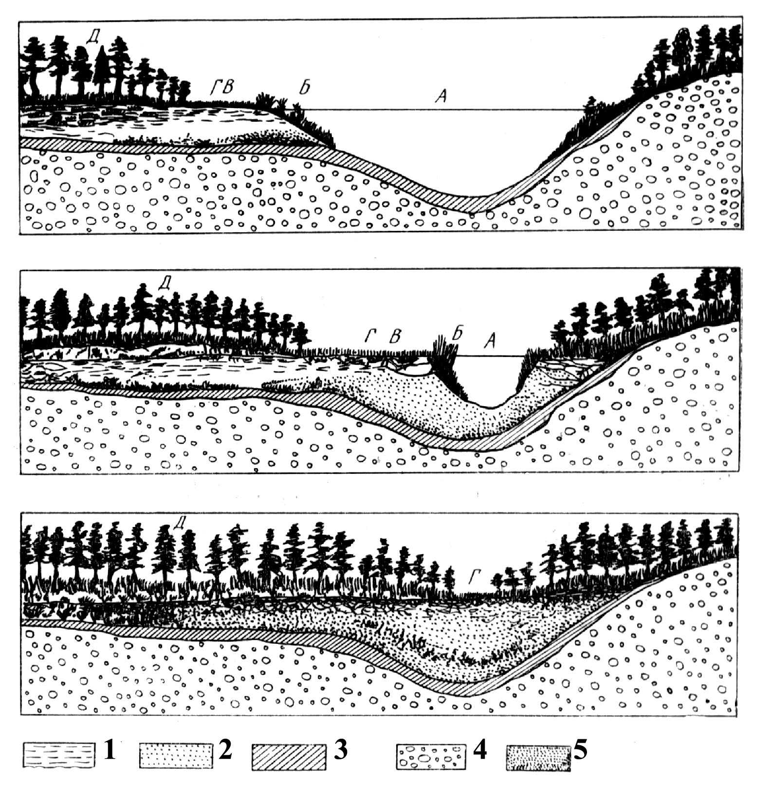 Отложения в озерах. Геологическая деятельность озер и болот. Схема зарастания озера. Геологическая деятельность болот схема. Озерно-болотные отложения.