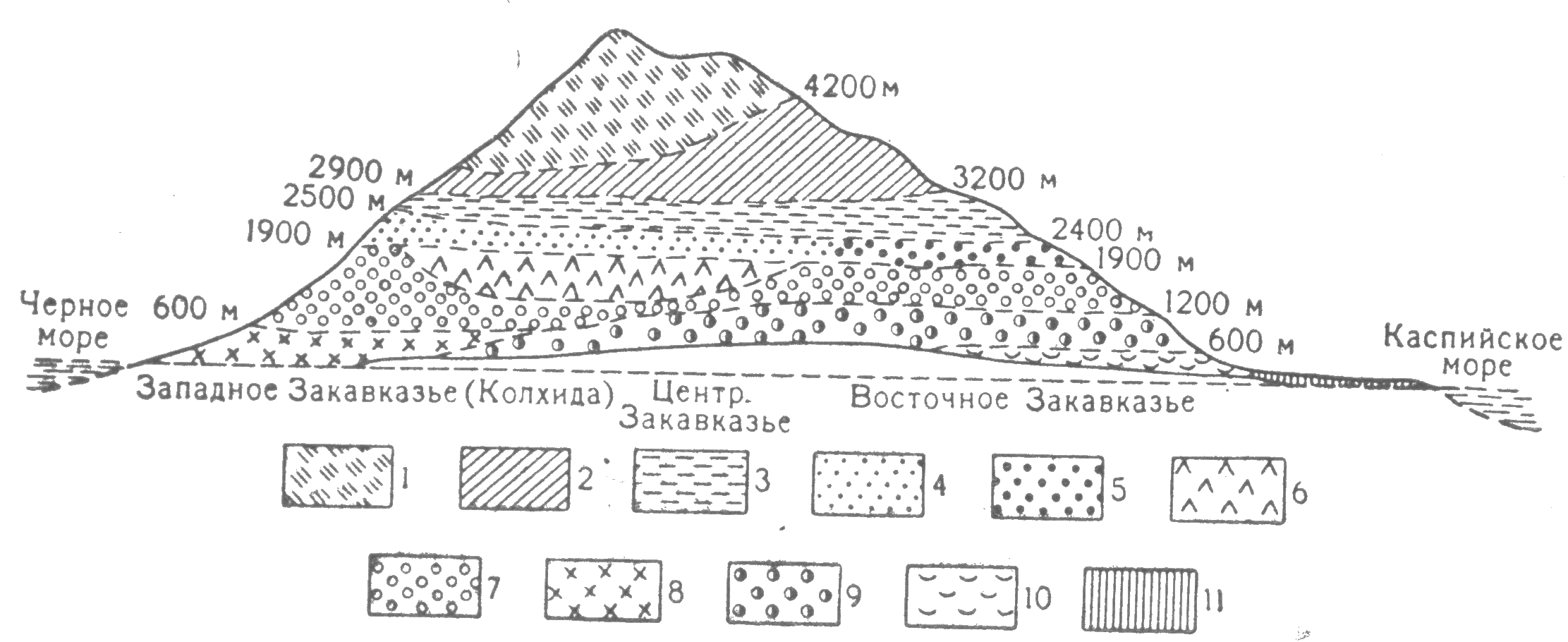 Зональность схема Зональность схема