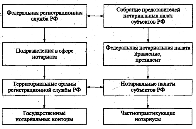 Система и функции органов адвокатуры