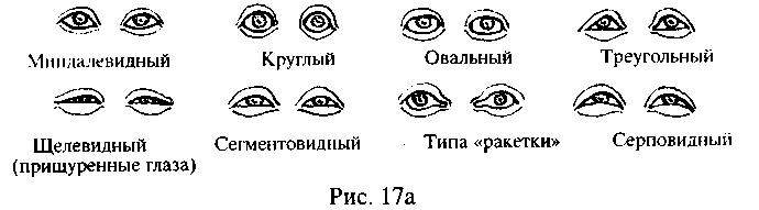 Вид и пример глаз