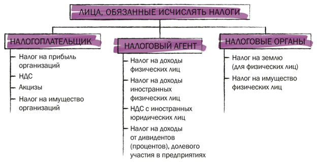 3 примера налогов в рф