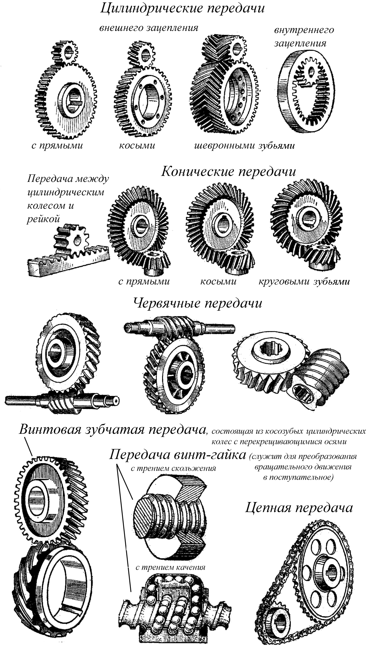 Винтовая зубчатая передача Винтовая зубчатая передача