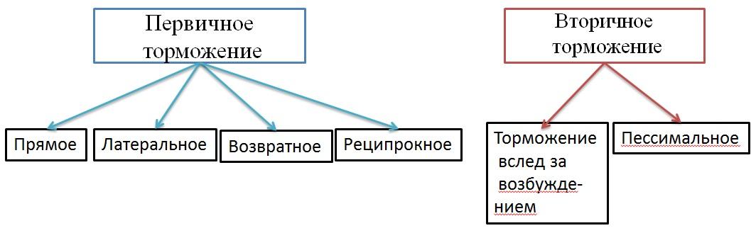 Нервное перевозбуждение