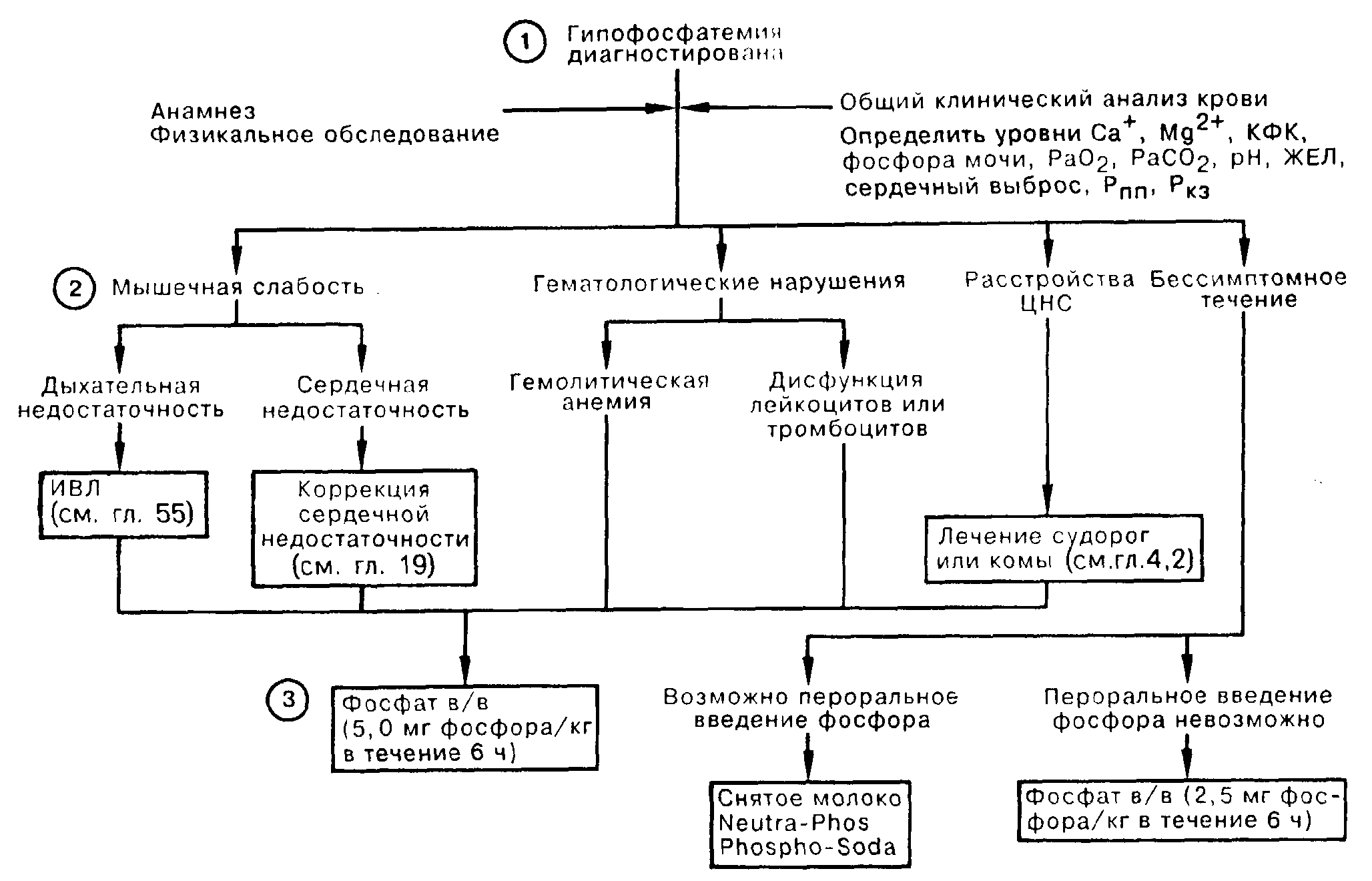 Схема патогенеза рахита