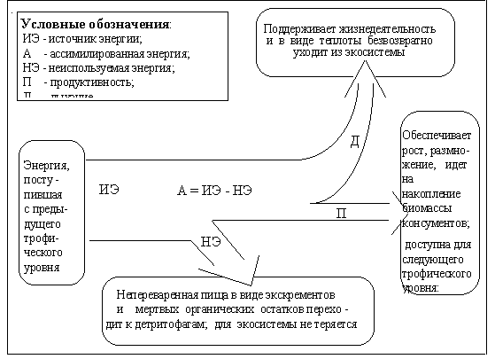 Укажите отличия между понятиями “экосистема, “биогеоценоз”, “биоценоз” и “сообщество”.