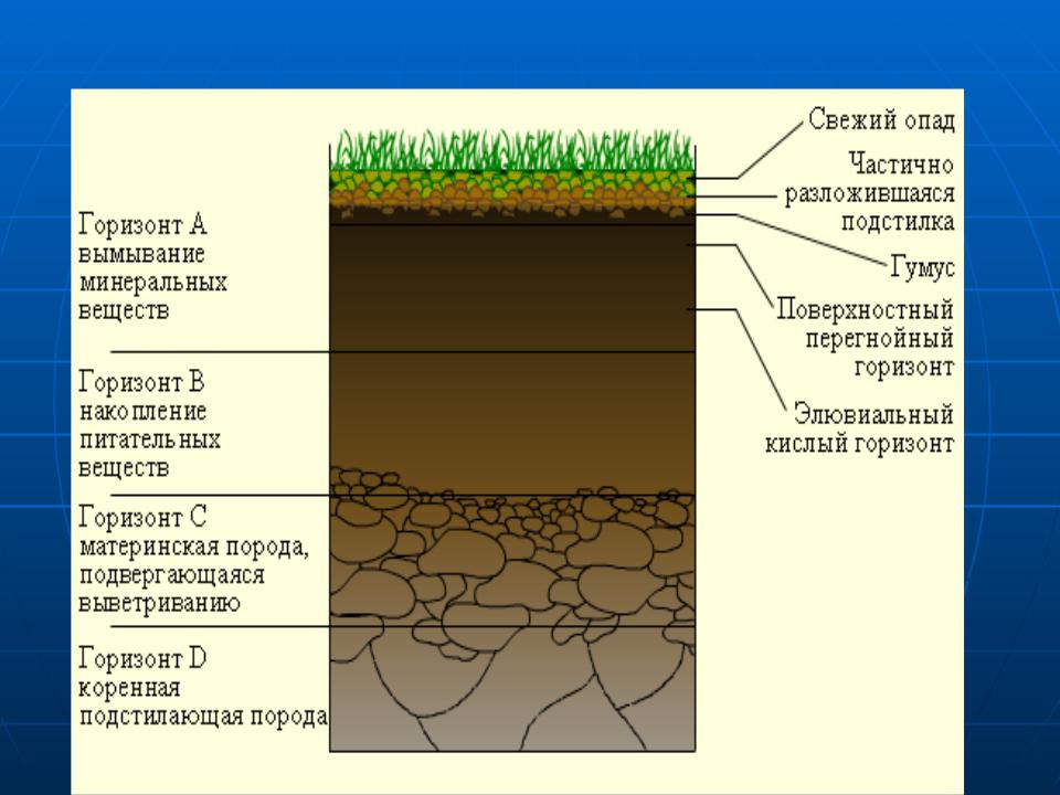 Слои почвы картинка