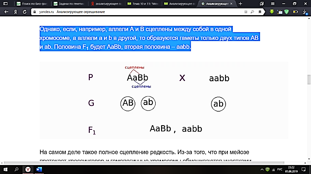 Дигибридное скрещивание примеры задач