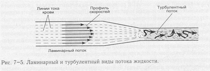 Линии тока изображенные на рисунке характеризуют режим движения жидкости