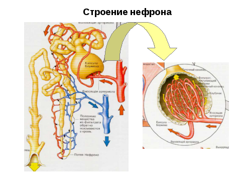 Введение