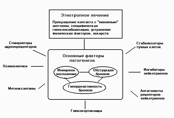 Схема лечения астмы