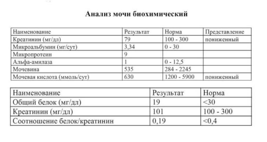 Мочевая кислота креатинин анализы. Биохимия мочи показатели дети норма. Норма биохимического анализа мочи у мужчин таблица. Норма показателей общего анализа мочи у женщин таблица. Биохимический анализ мочи нормальные показатели - таблица.