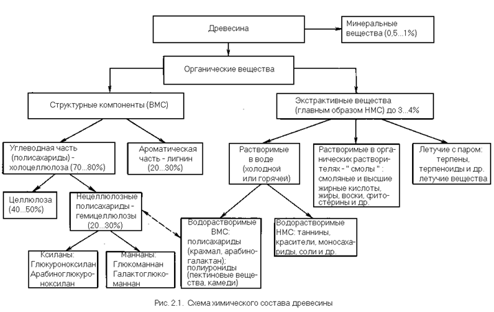 Составляющие части дерева. Химический состав древесины схема. Органический состав древесины. Химический состав древесины различных пород. Основные компоненты древесины химия.