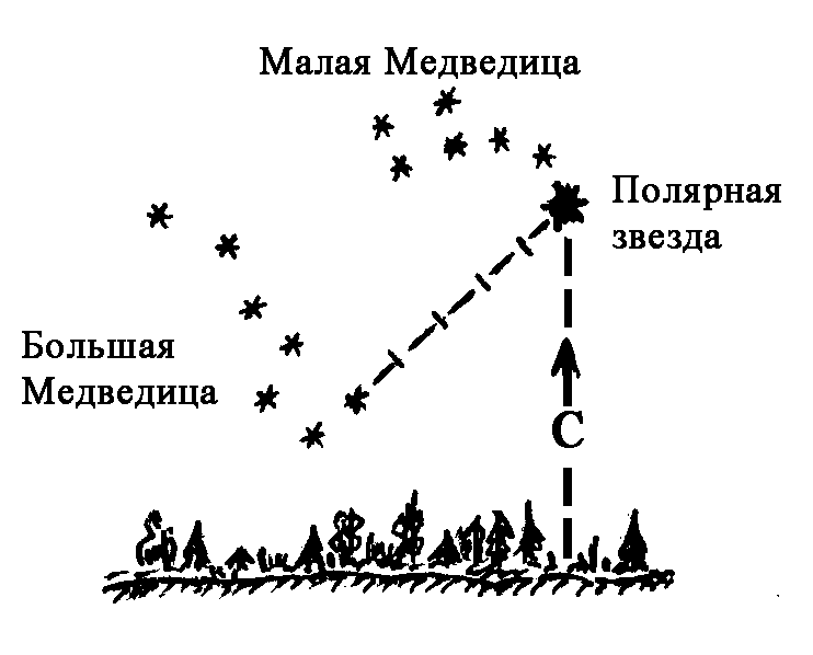 Какой тип развития характерен для медведицы. Схемы определения сторон горизонта по небесным светилам. Ориентирование по полярной. Нарисовать схему ориентирования по звездам. Ориентирование на местности раскраска.