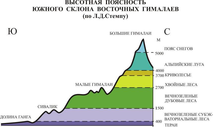 Природные пояса кавказских гор. Высотная поясность Гималаев схема. Высотная поясность Гималаев. Высотная поясность горы Аконкагуа. Высотная поясность Алтая, Кавказа, Урала.