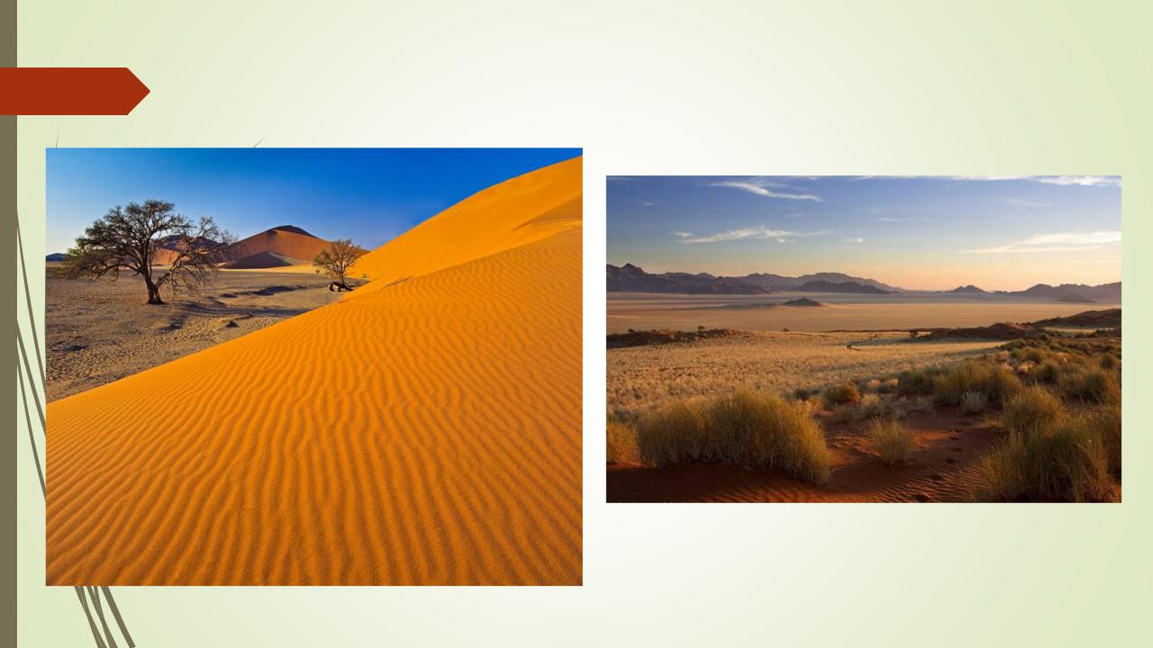 Климатические особенности природной зоны пустыни