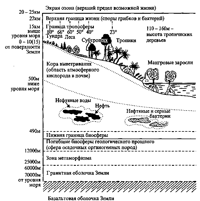 Границы биосферы таблица