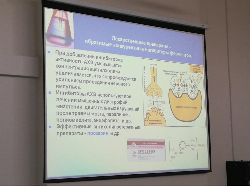 бх ферменты л2 - Стр 2