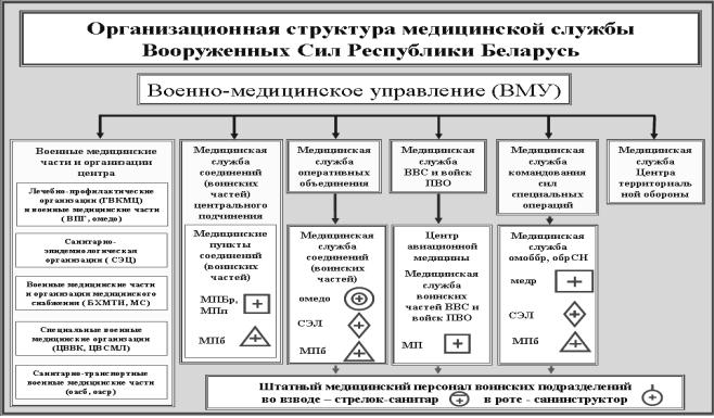 Структура медицинской науки