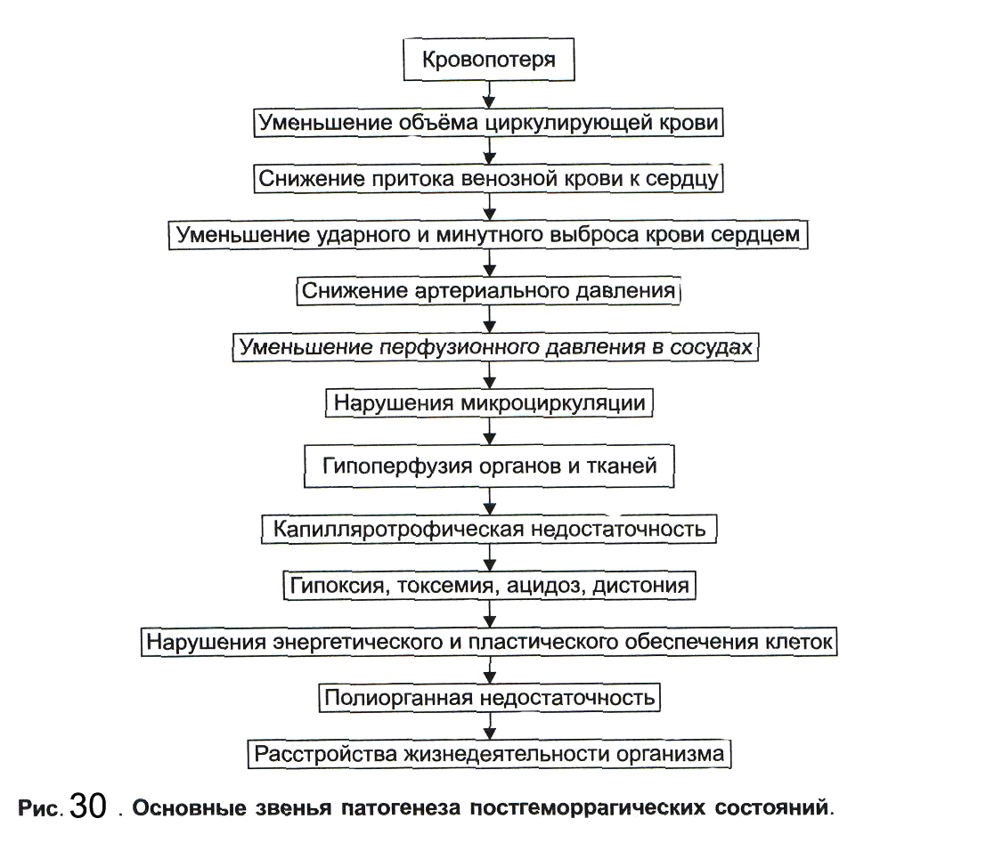 Патогенез геморрагического шока схема