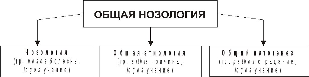 Nosologia латынь