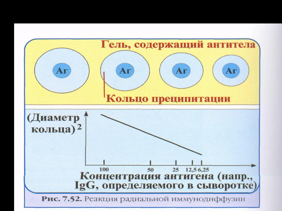 Реакция двойной иммунодиффузии по оухтерлони картинки