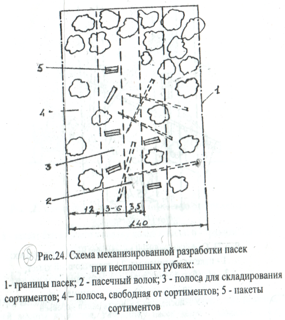 Размеры лесосек