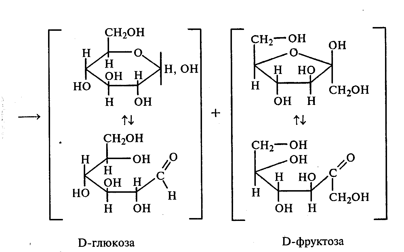 Глюкоза и фруктоза образуются при гидролизе. Гидролиз дисахаридов сахароза. Схему реакции кислотного гидролиза сахарозы. Кислотный гидролиз сахарозы. Гидролиз сахарозы реакция.
