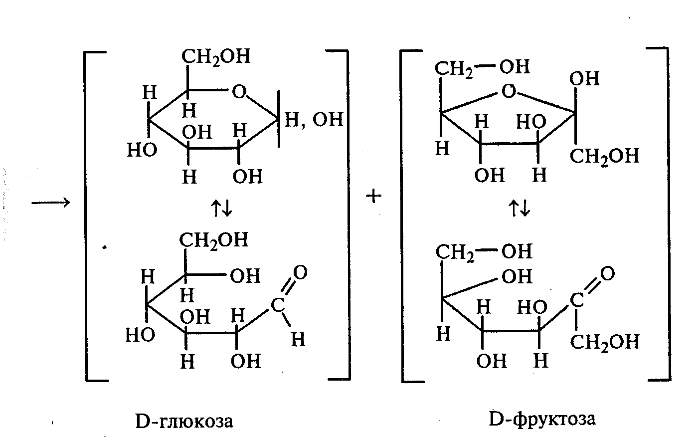 Глюкоза и фруктоза образуются при гидролизе