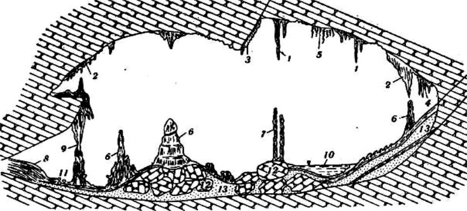 Как называется нарост в пещере обозначенный на рисунке цифрой 3