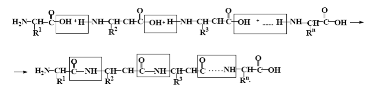 В реакцию с аминокислотами вступает. Цепочка реакций с аминами. Электронное строение аминогруппы. Получение аминокислот из карбоновых кислот. Реакция аминокислот с металлами.