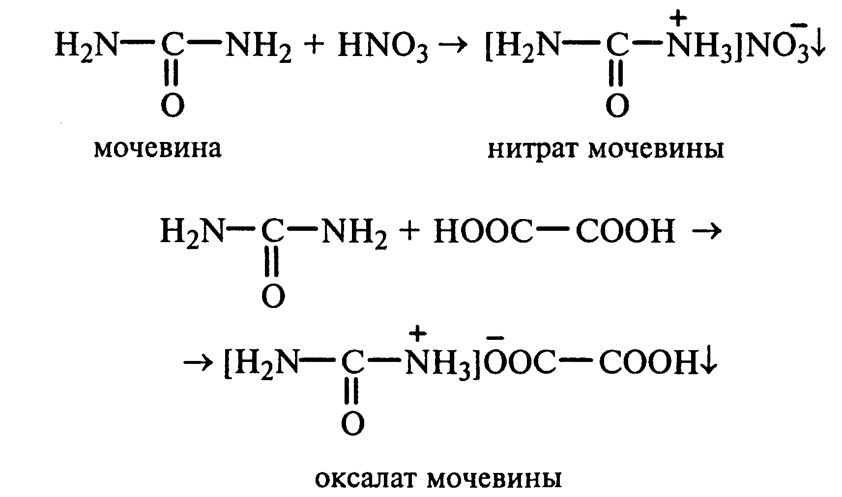 Hno2 схема. Мочевина реакции. Взаимодействие мочевины с азотной кислотой. Мочевина с уксусной кислотой реакция. Мочевина реакции с кислотами.