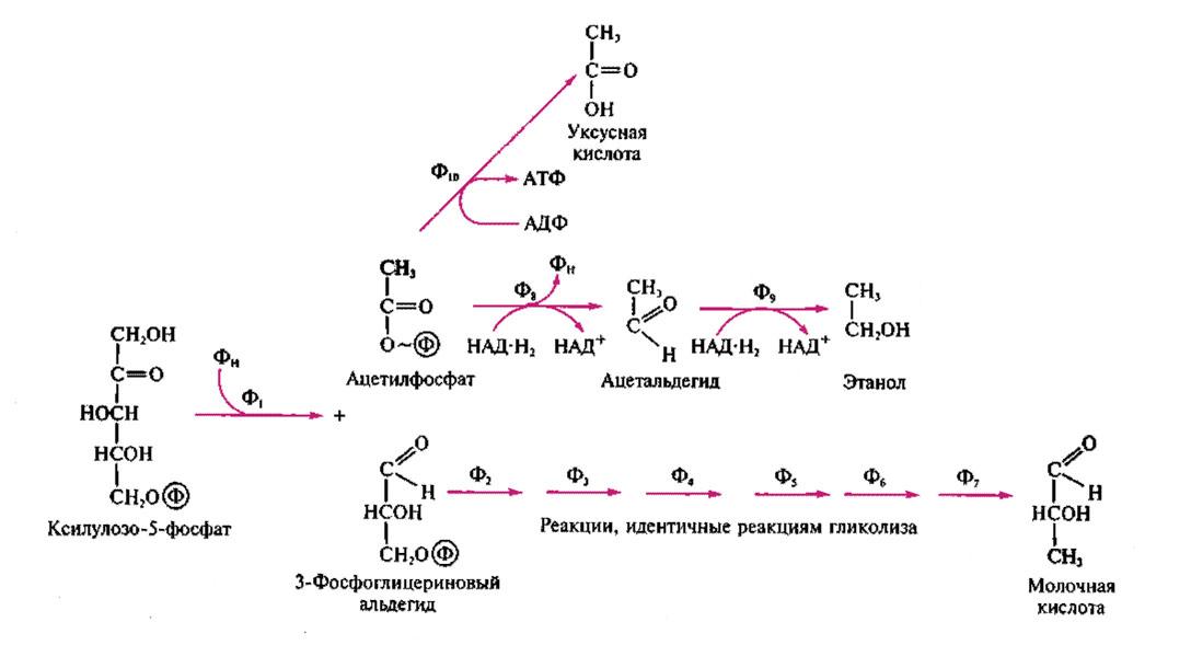 Схема уксусной кислоты