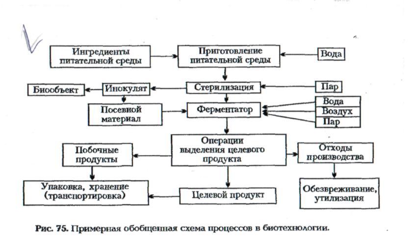Типовая схема и основные стадии биотехнологических производств, Биотехнологическ