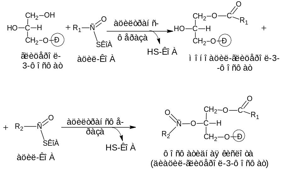 Третий синтез. Синтез жира из глицерол-3-фосфата. Синтез жира из глицерол-3-фосфата и ацил-КОА. Реакции синтеза жира из глицерол-3-фосфата и ацил-КОА. Образование фосфатидной кислоты из Глюкозы.