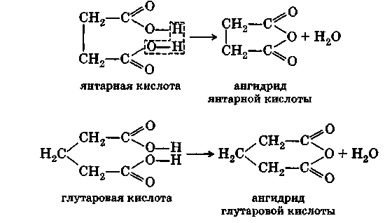 Двухосновные кислоты формулы и названия. Ангидрид янтарной кислоты. Глутаровой кислоты. Ангидрид янтарной кислоты получение. Ангидрид глутаровой кислоты.